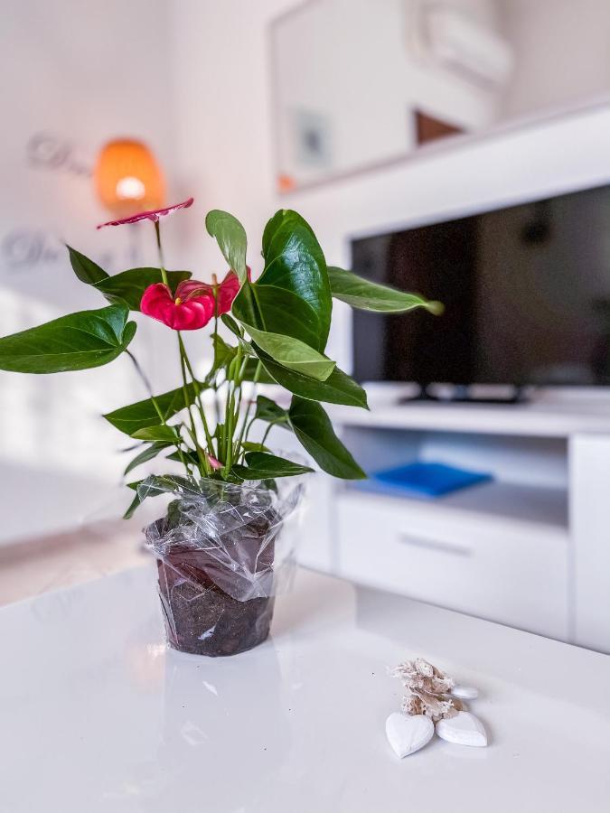 Myhouse Inn Torino - Affitti Brevi Italia Collegno Eksteriør billede